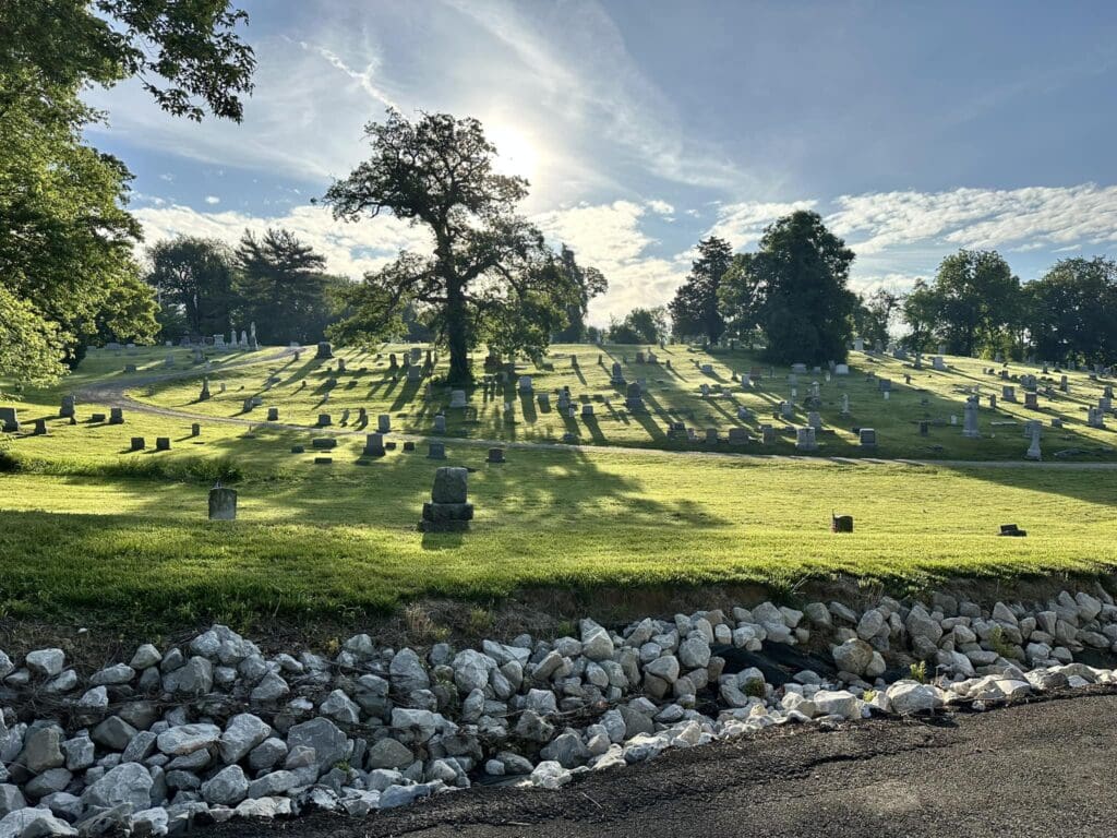 commercial lawn care caseyville il