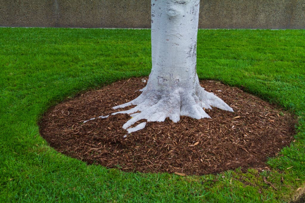 mulch installation caseyville il