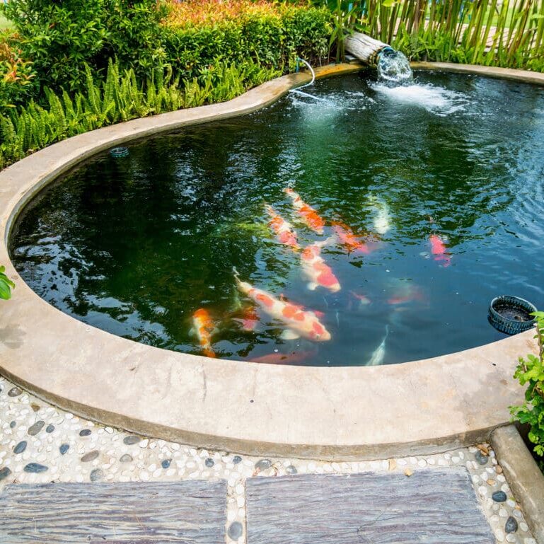 koi pond company caseyville il