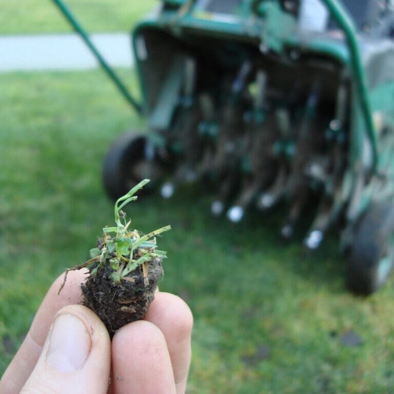 lawn aeration caseyville il