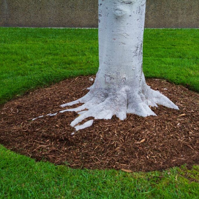 mulch installation caseyville il